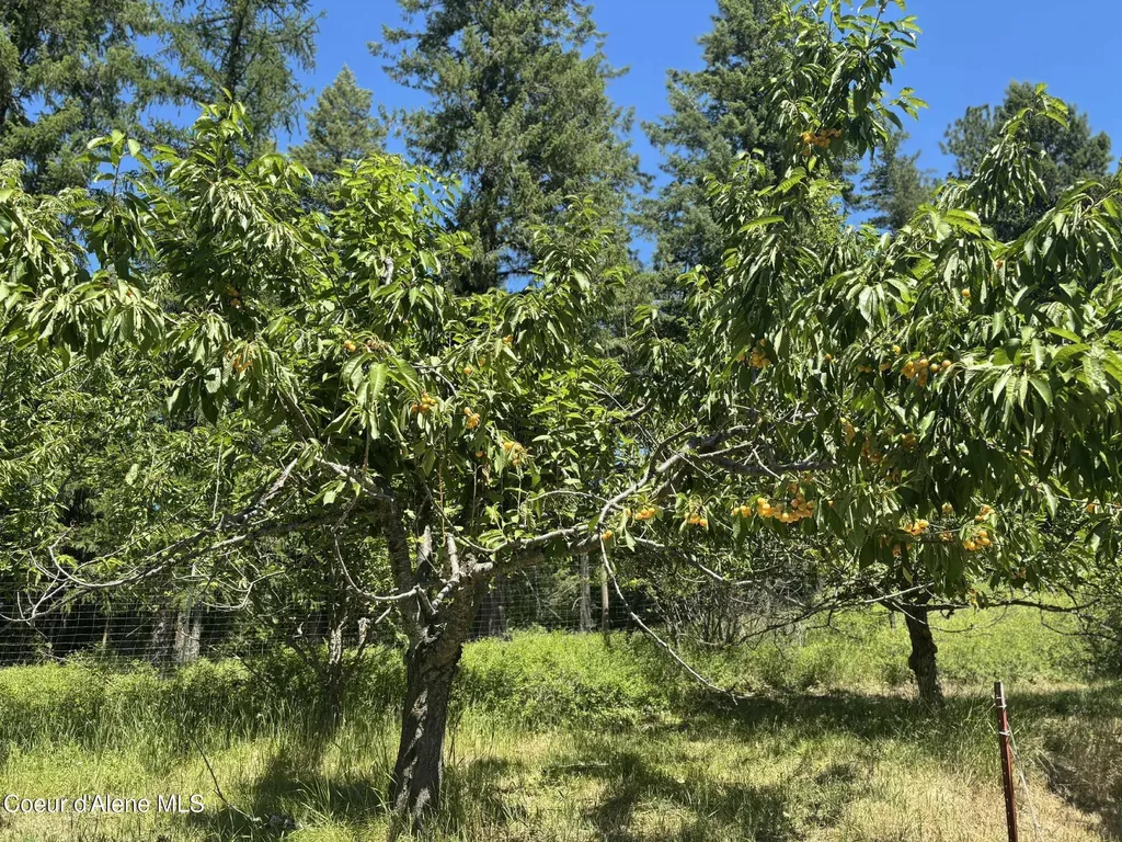 2447 Turner Hill Road Bonners Ferry ID 83805