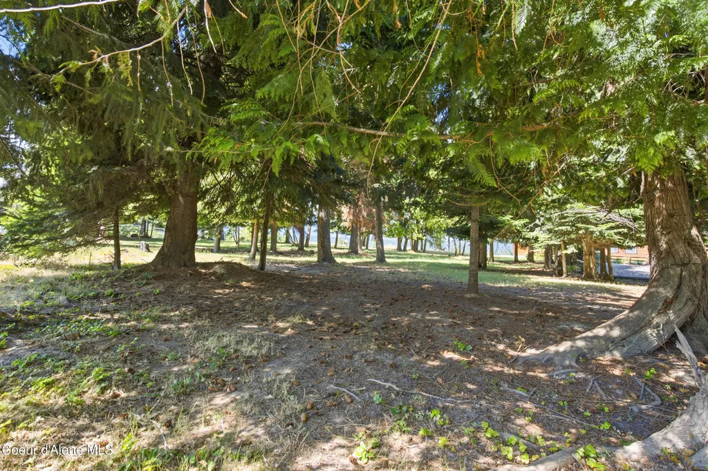 125 Cottage Lane Bonners Ferry ID 83805
