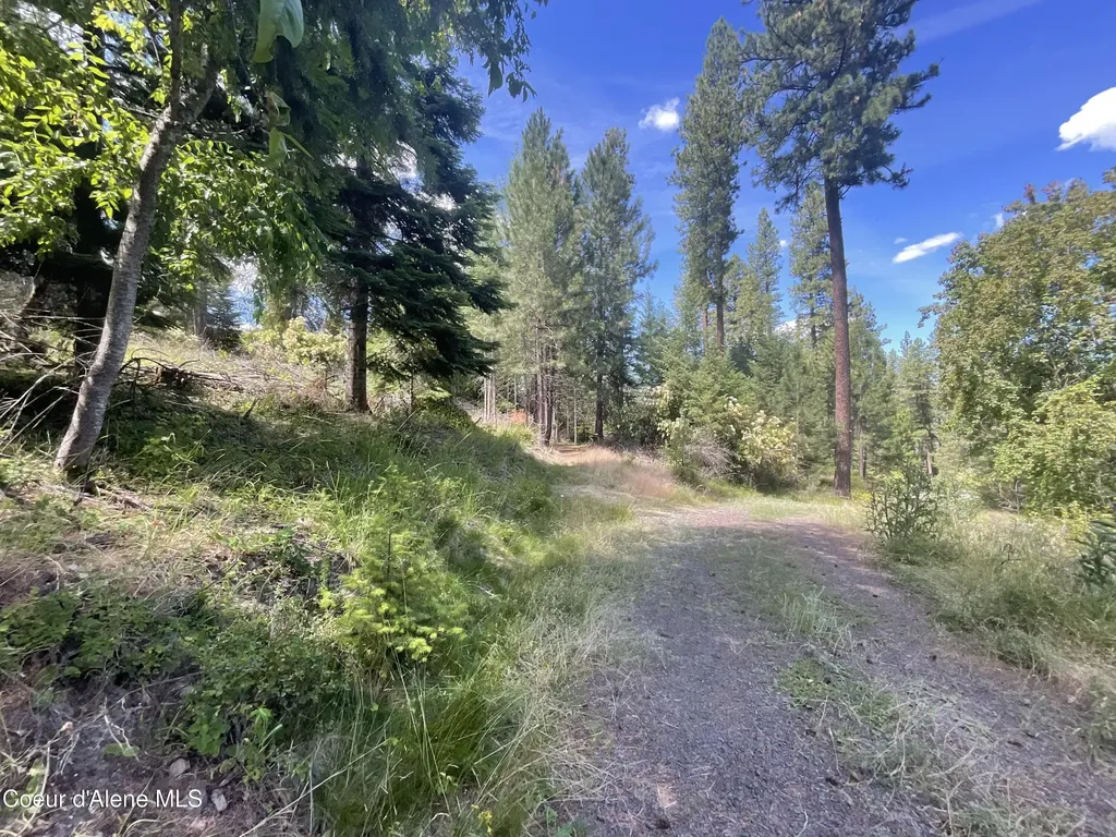 Nka Bella Vista Worley ID 83876