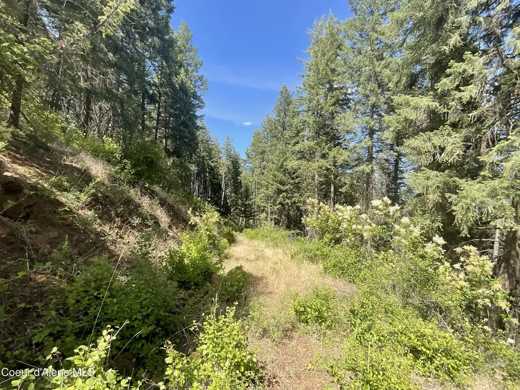Nka Bella Vista Worley ID 83876