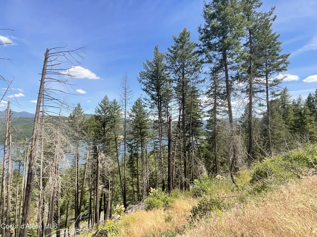Nka Bella Vista Worley ID 83876