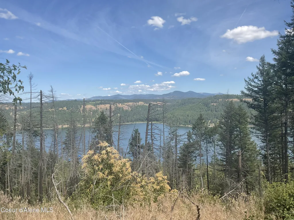 Nka Bella Vista Worley ID 83876