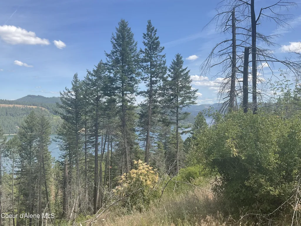 Nka Bella Vista Worley ID 83876