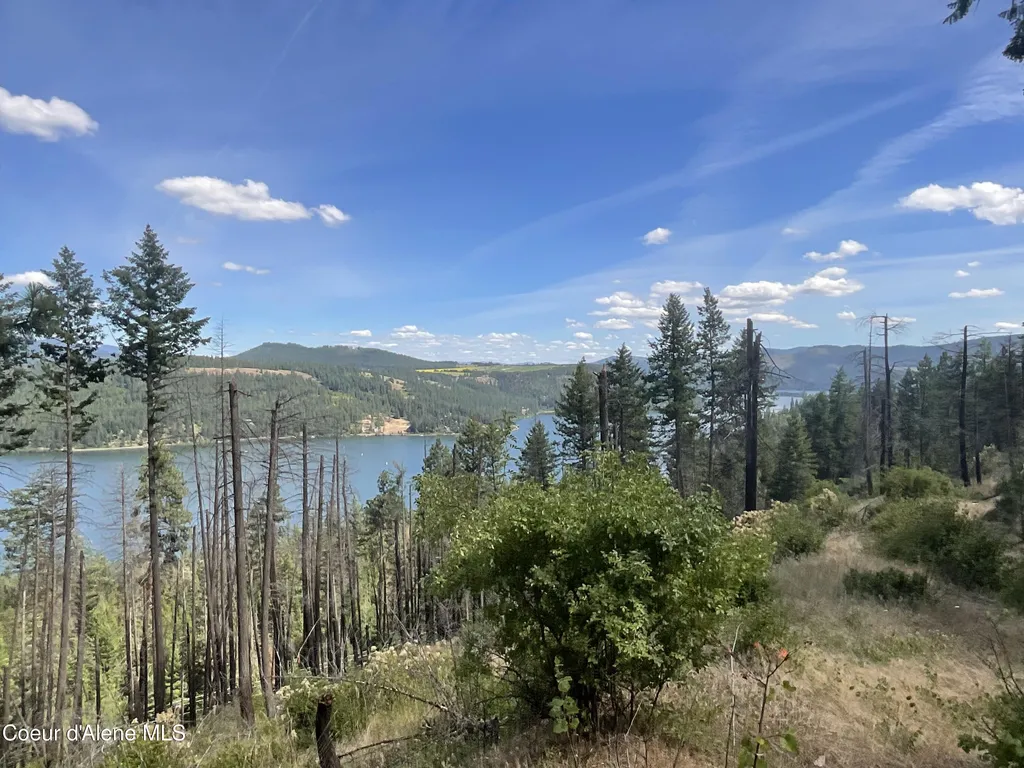 Nka Bella Vista Worley ID 83876