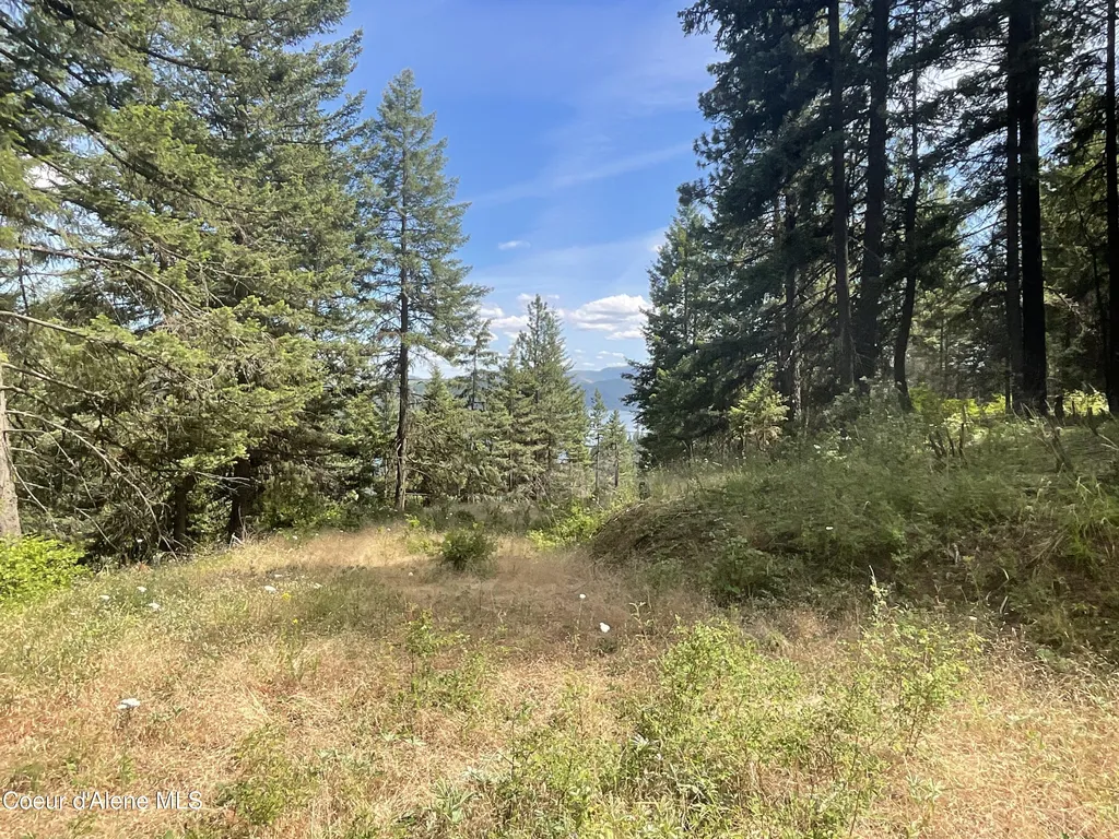 Nka Bella Vista Worley ID 83876