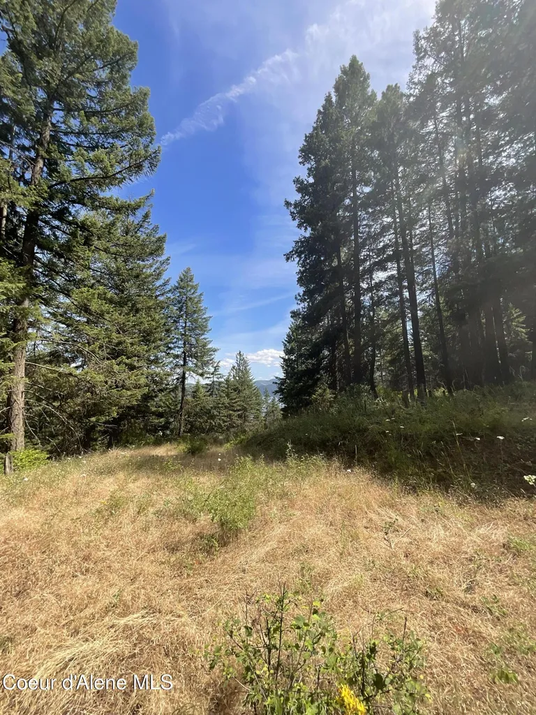 Nka Bella Vista Worley ID 83876