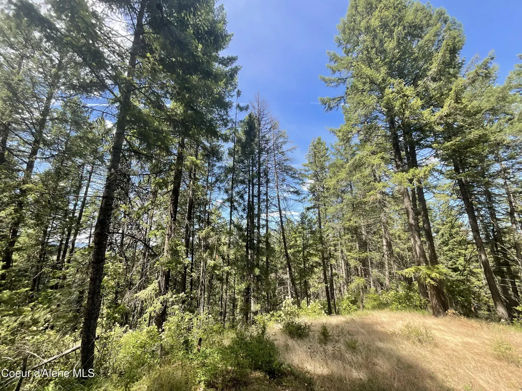 Nka Bella Vista Worley ID 83876