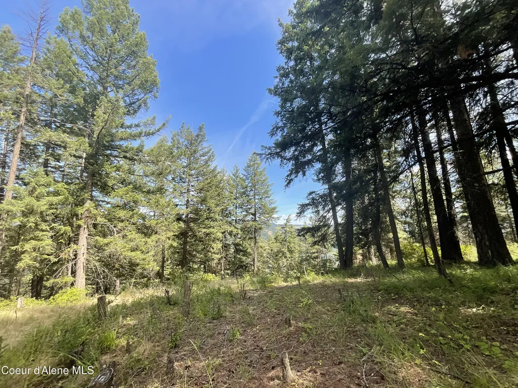 Nka Bella Vista Worley ID 83876