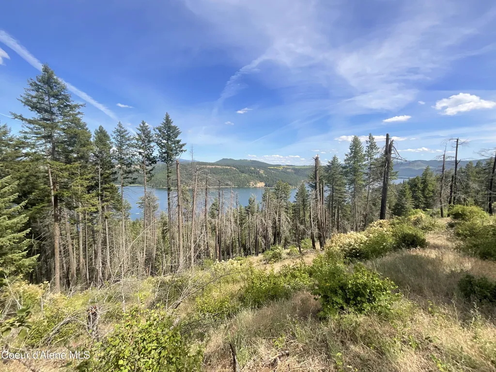 Nka Bella Vista Worley ID 83876