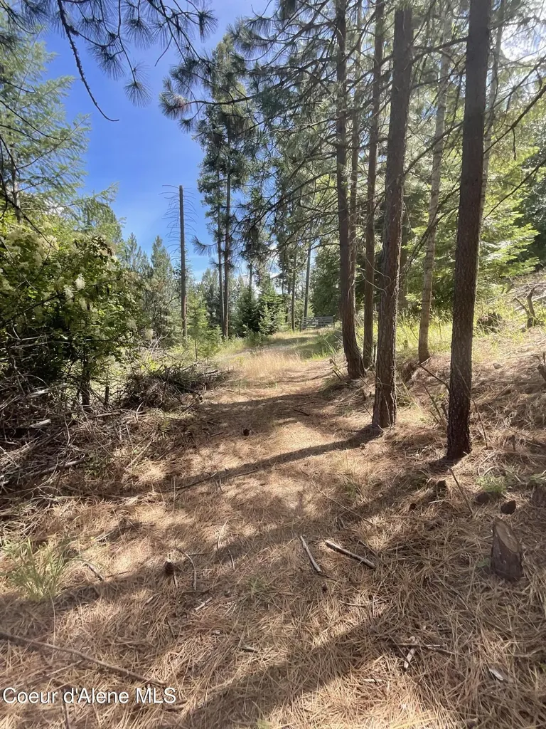 Nka Bella Vista Worley ID 83876