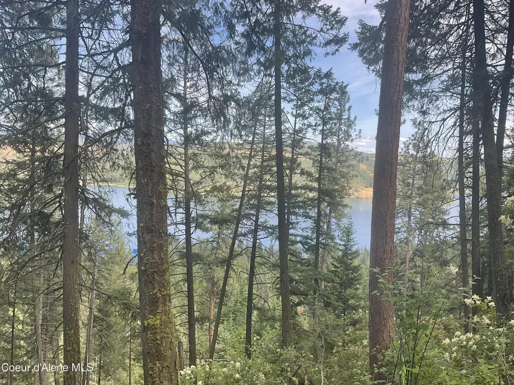 Nka Bella Vista Worley ID 83876