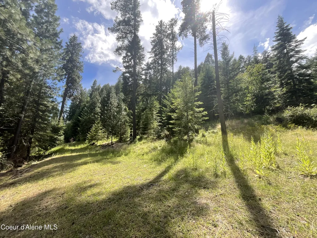 Nka Bella Vista Worley ID 83876