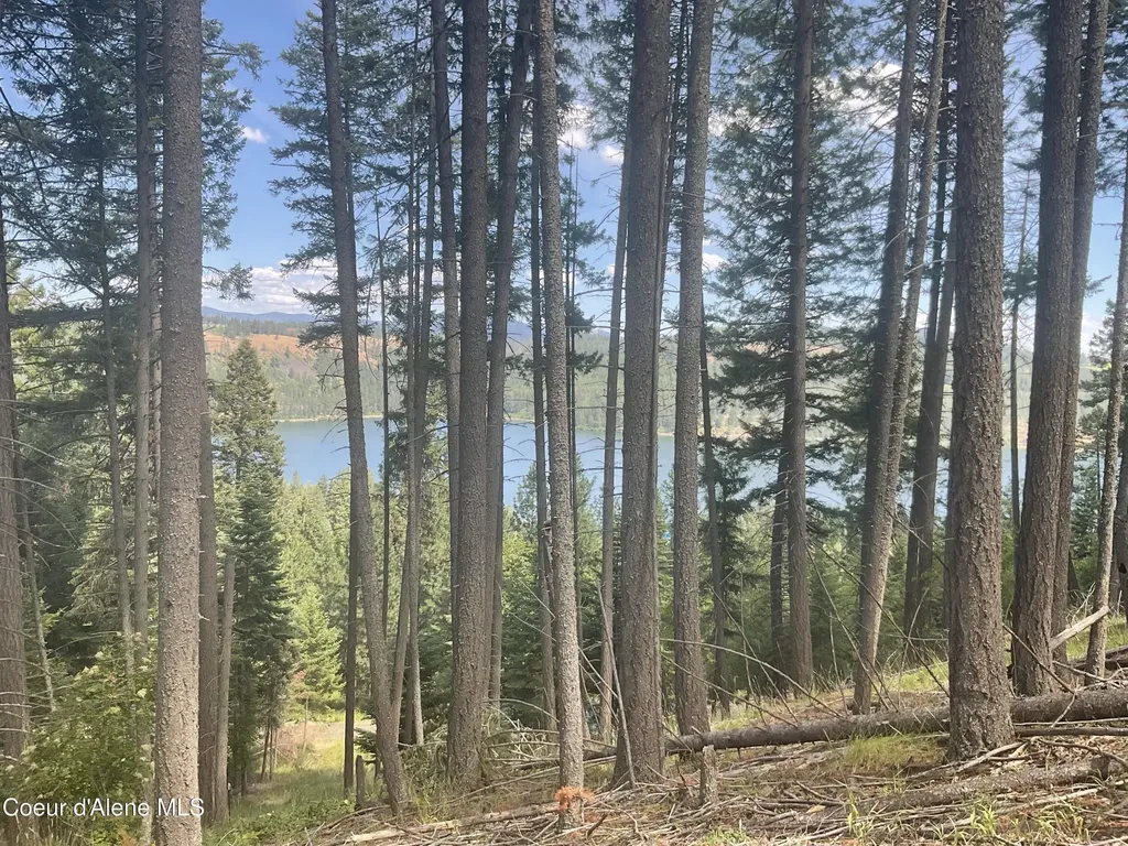 Nka Bella Vista Worley ID 83876