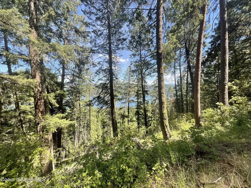 Nka Bella Vista Worley ID 83876