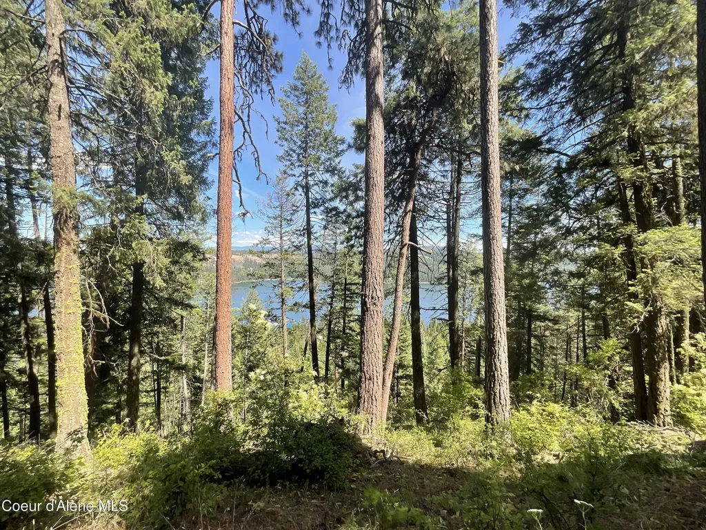 Nka Bella Vista Worley ID 83876