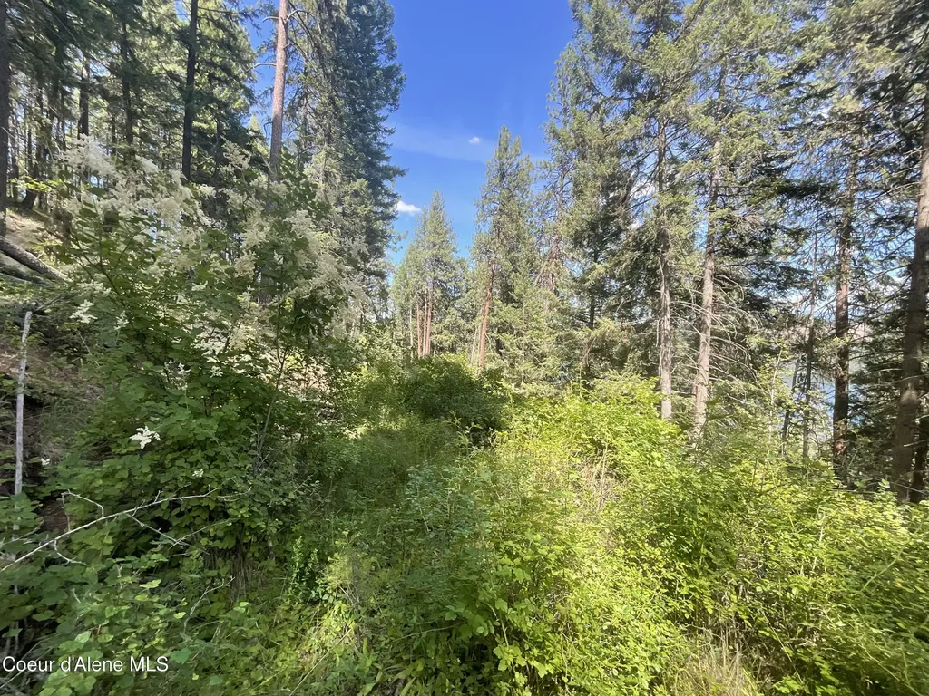 Nka Bella Vista Worley ID 83876