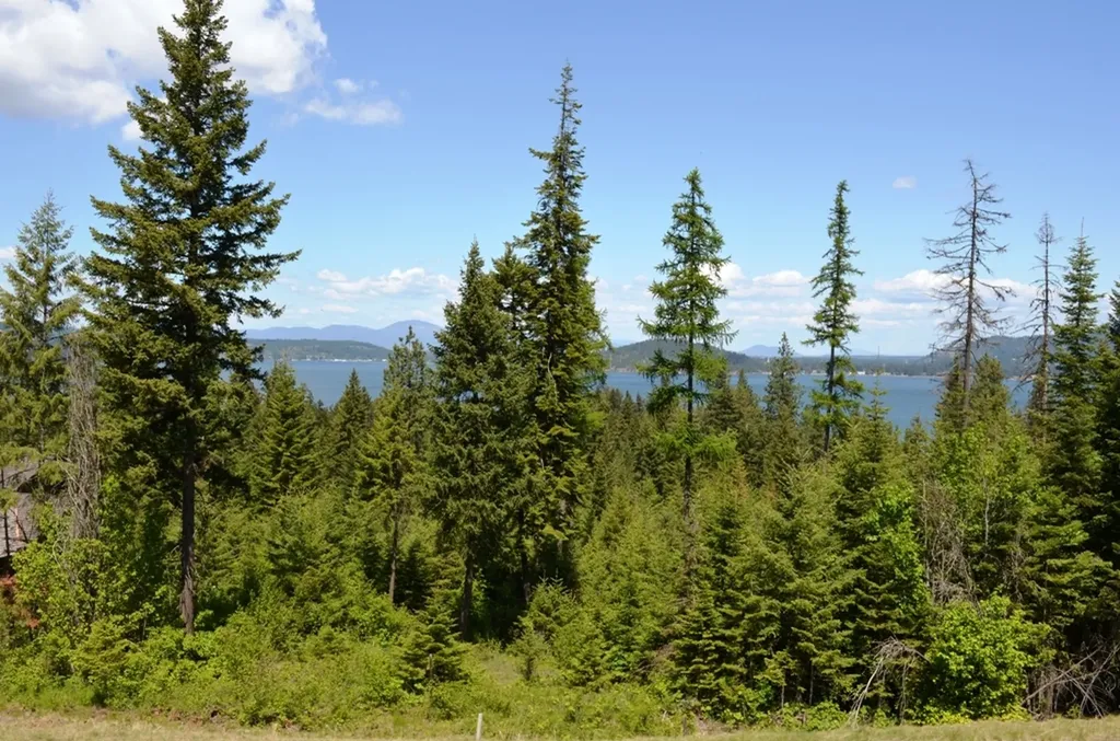 5343 S Jackleg Trail Harrison ID 83833