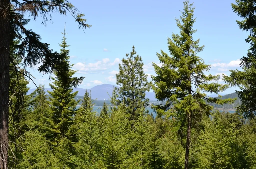 5343 S Jackleg Trail Harrison ID 83833