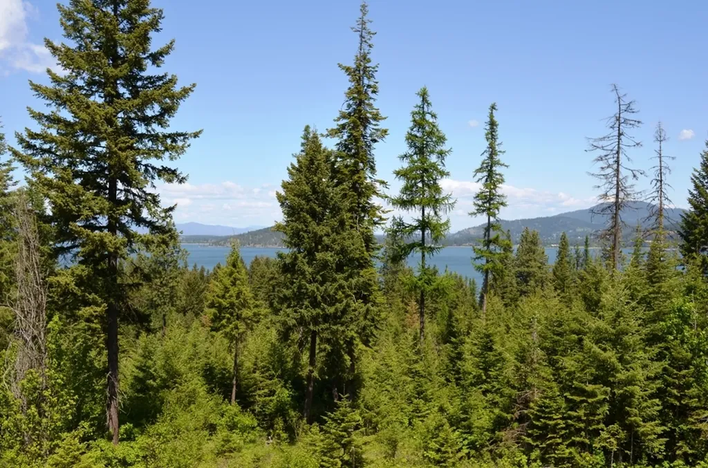 5343 S Jackleg Trail Harrison ID 83833