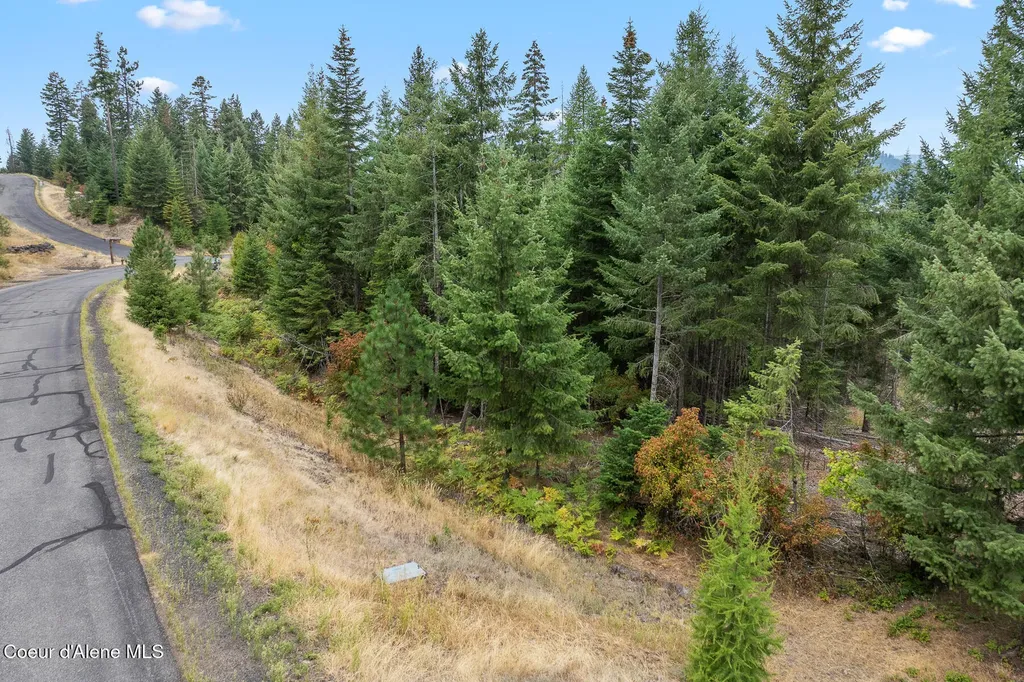 5343 S Jackleg Trail Harrison ID 83833