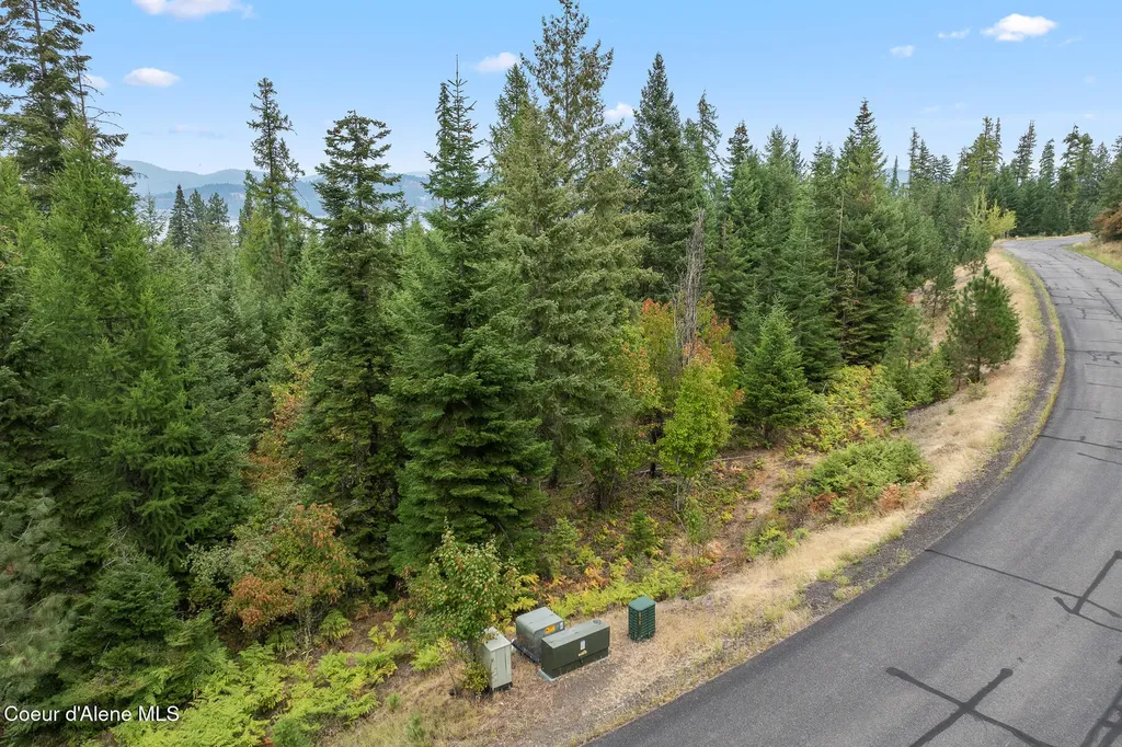 5343 S Jackleg Trail Harrison ID 83833