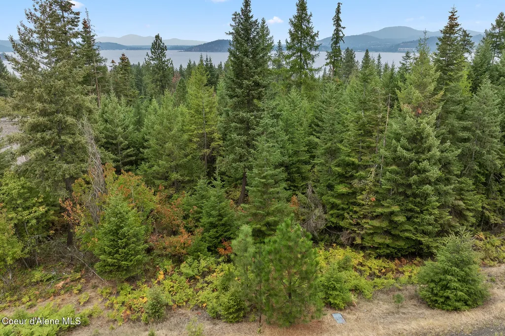 5343 S Jackleg Trail Harrison ID 83833