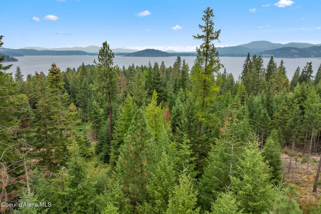 5343 S Jackleg Trail Harrison ID 83833