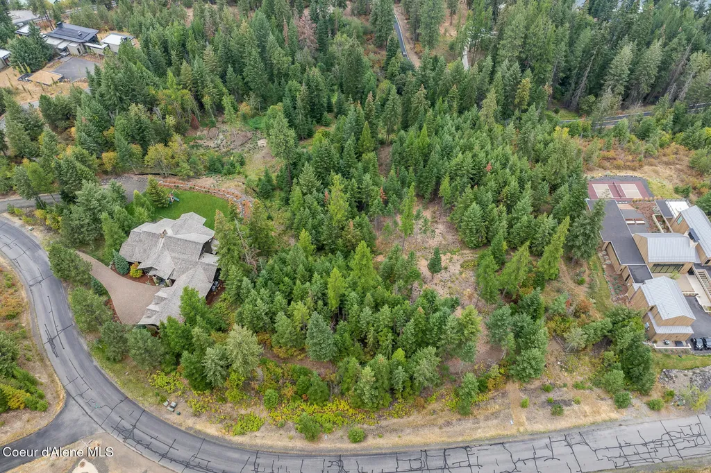 5343 S Jackleg Trail Harrison ID 83833