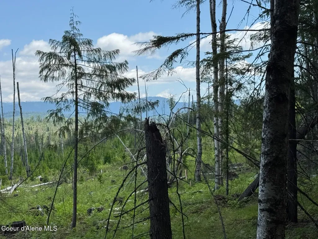 Nna Rolling Thunder Ridge Road Sandpoint ID 83864