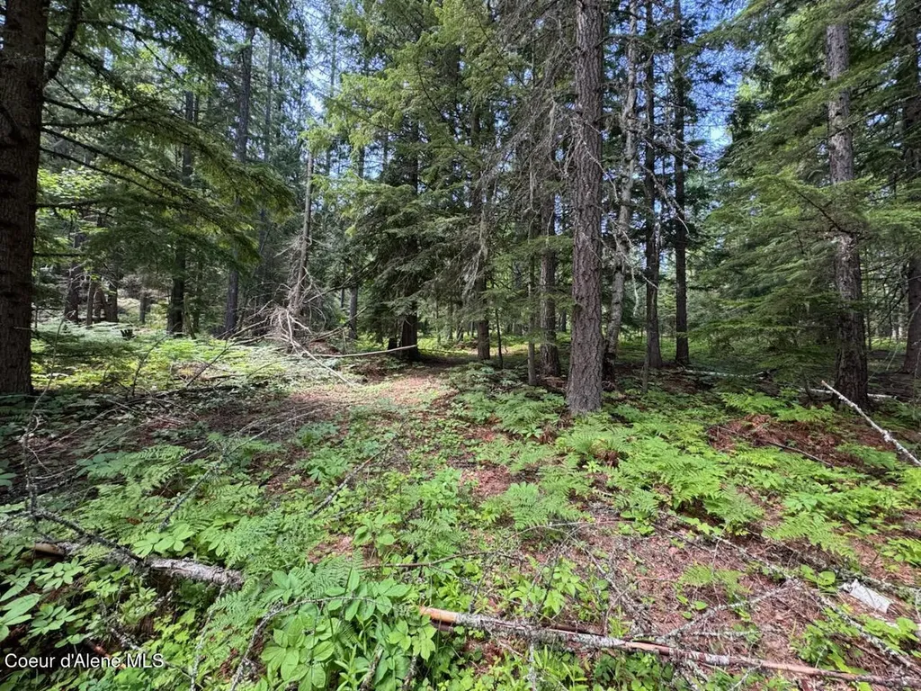 Nna Rolling Thunder Ridge Road Sandpoint ID 83864