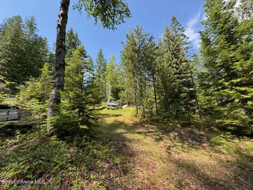 Nna Rolling Thunder Ridge Road Sandpoint ID 83864