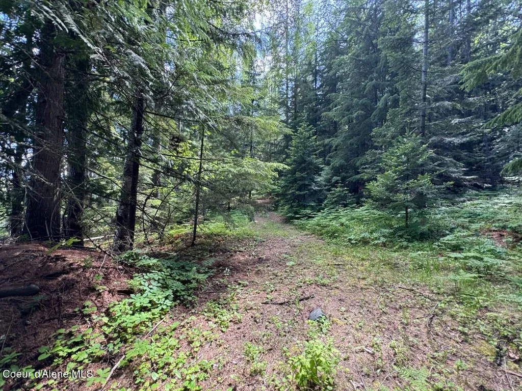 Nna Rolling Thunder Ridge Road Sandpoint ID 83864