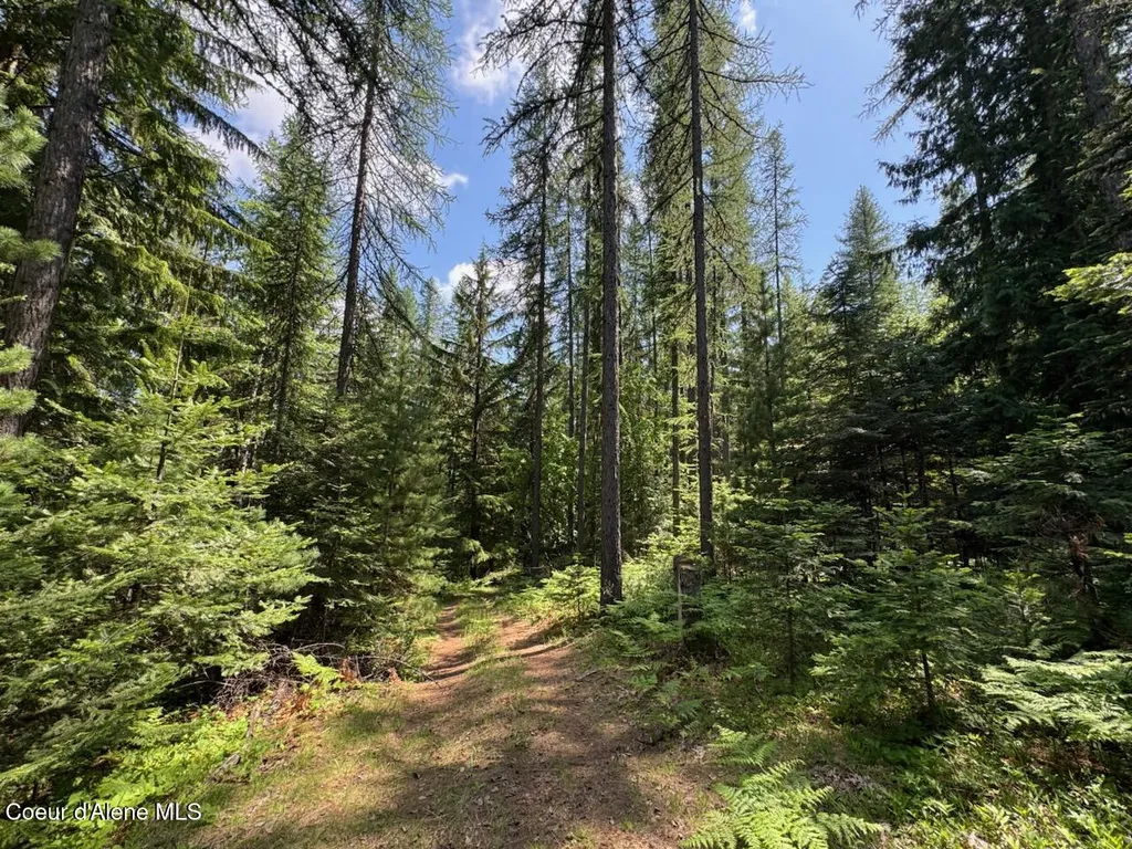Nna Rolling Thunder Ridge Road Sandpoint ID 83864