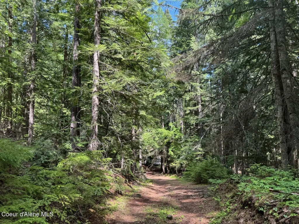 Nna Rolling Thunder Ridge Road Sandpoint ID 83864