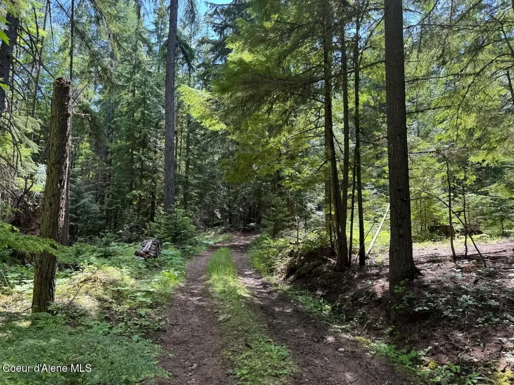 Nna Rolling Thunder Ridge Road Sandpoint ID 83864