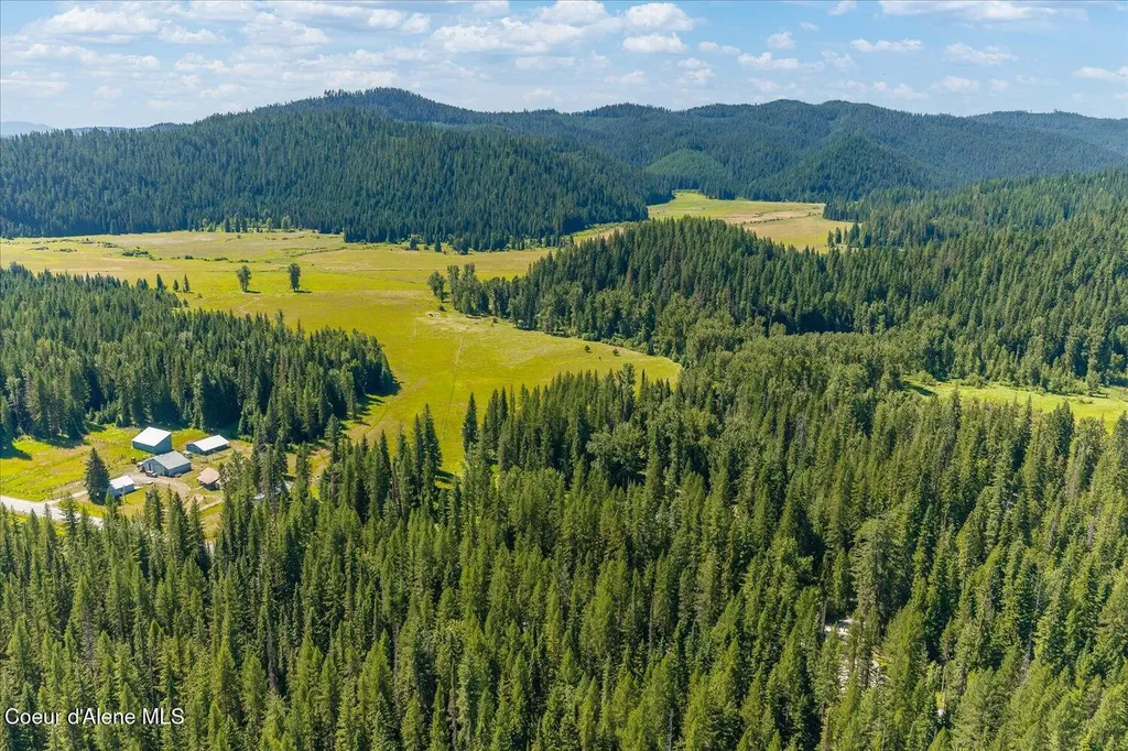 49 Goose Creek Road Priest River ID 83856