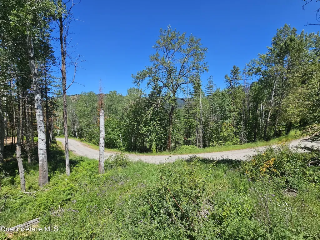 996 Polaris Peak Road Lot 2 Kellogg ID 83837