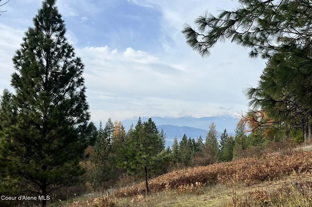480 Sunnyside Ridge Road Sandpoint ID 83864