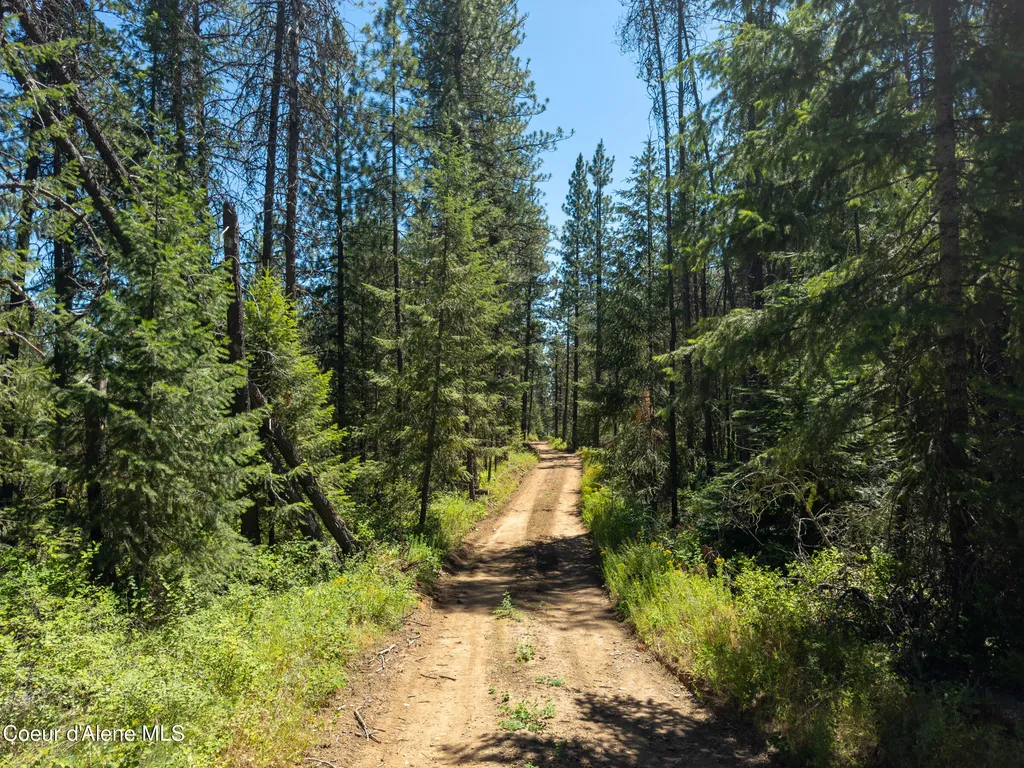 32127 N Hayden Drive Spirit Lake ID 83869
