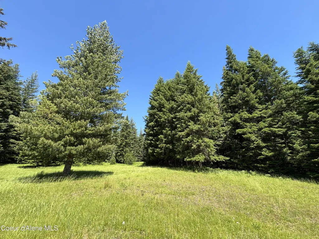 118 Walsh Way Sandpoint ID 83864
