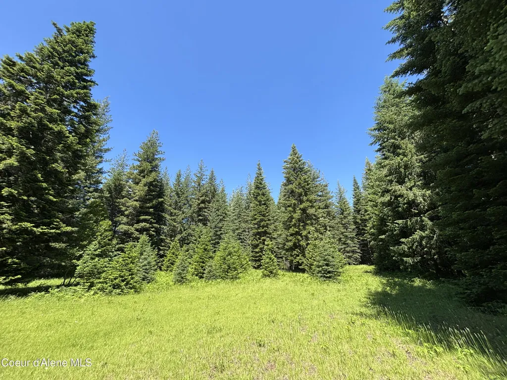 118 Walsh Way Sandpoint ID 83864