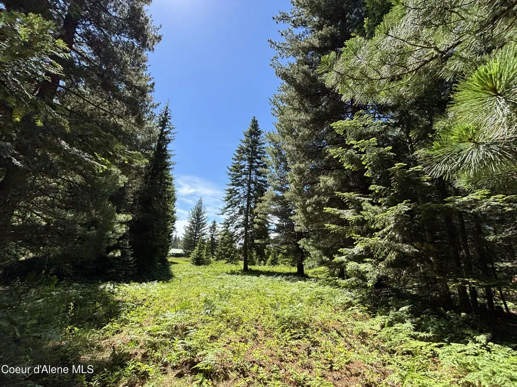 118 Walsh Way Sandpoint ID 83864