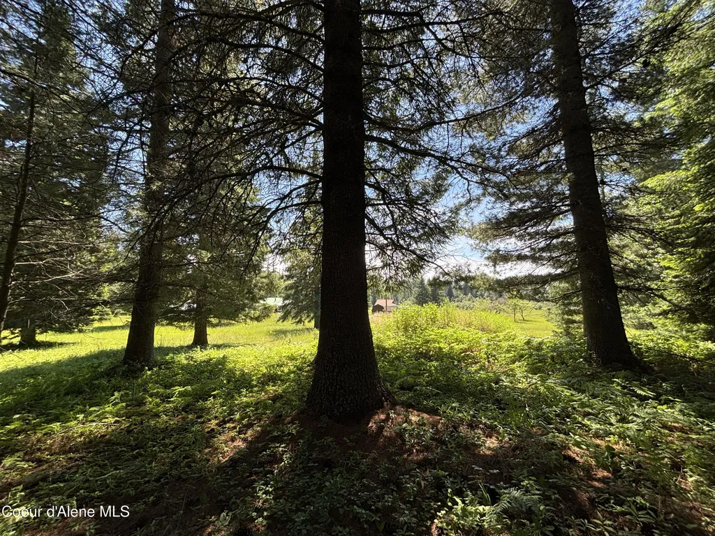118 Walsh Way Sandpoint ID 83864