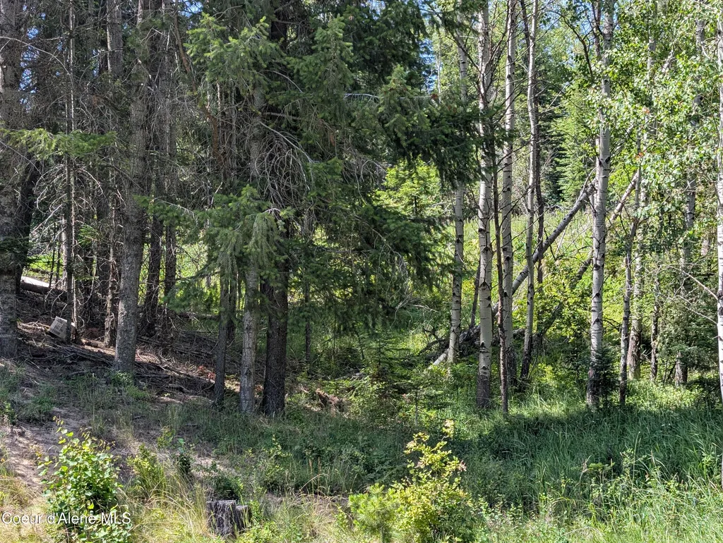 3115 Cherry Creek Road St. Maries ID 83861