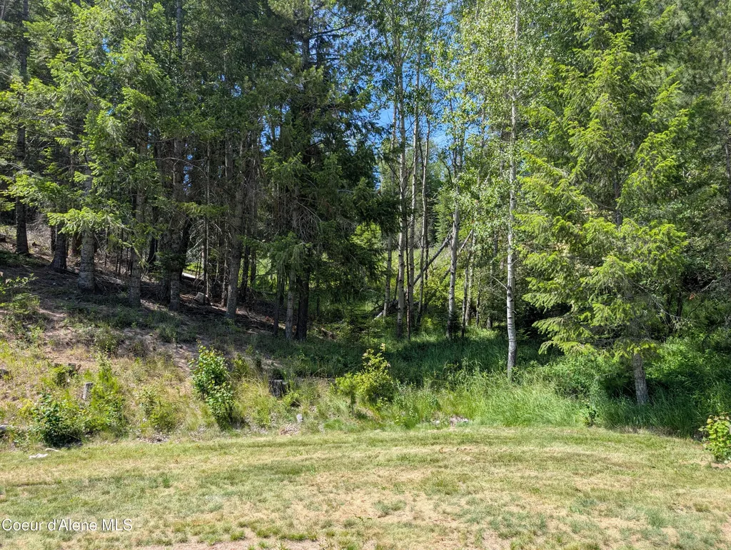 3115 Cherry Creek Road St. Maries ID 83861