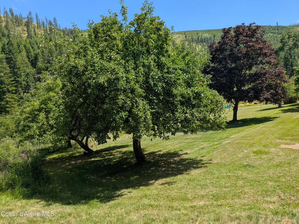 3115 Cherry Creek Road St. Maries ID 83861