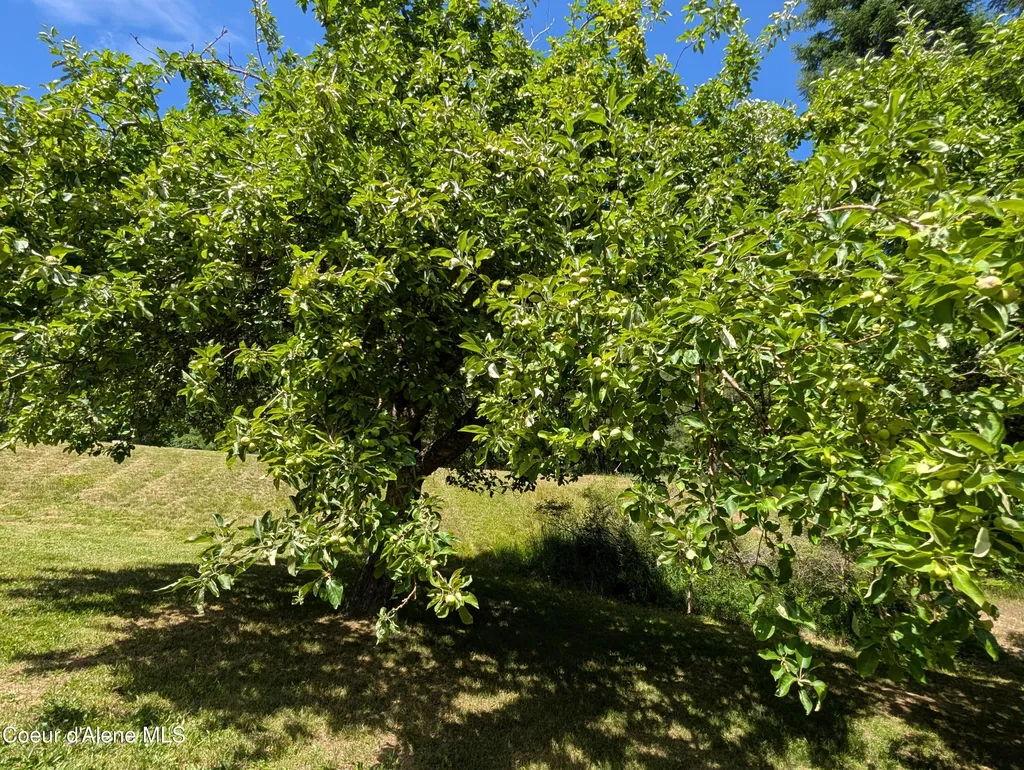 3115 Cherry Creek Road St. Maries ID 83861
