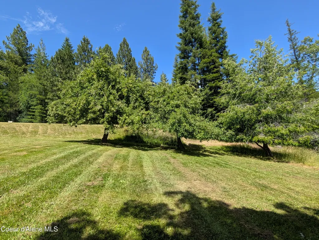3115 Cherry Creek Road St. Maries ID 83861