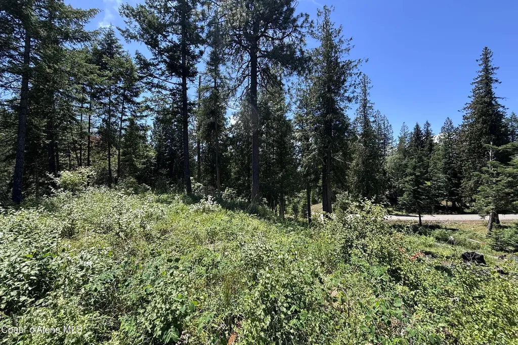 Lot 6 White Cloud Drive Sandpoint ID 83864