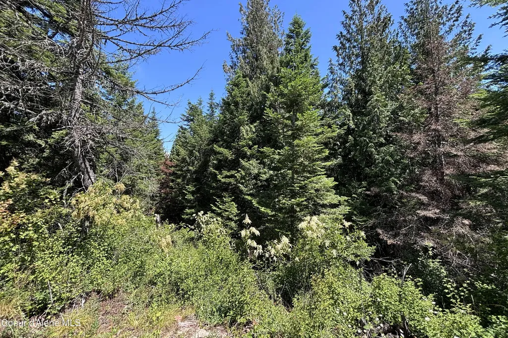 Lot 6 White Cloud Drive Sandpoint ID 83864